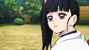 Espada Kanao Tsuyuri Katana (Aço carbono 1060)